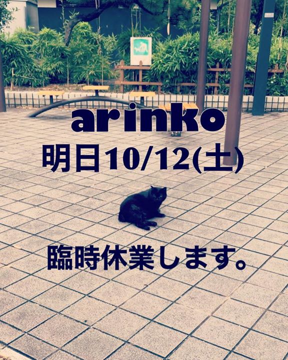 dd09a91f3c8d8d912397